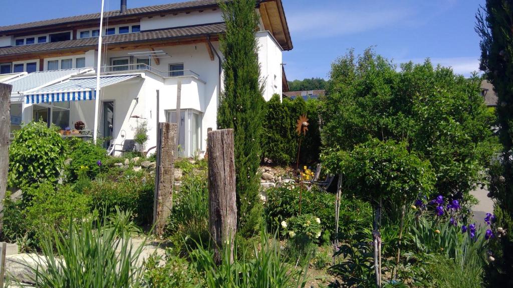 Bed and Breakfast 24 room 4